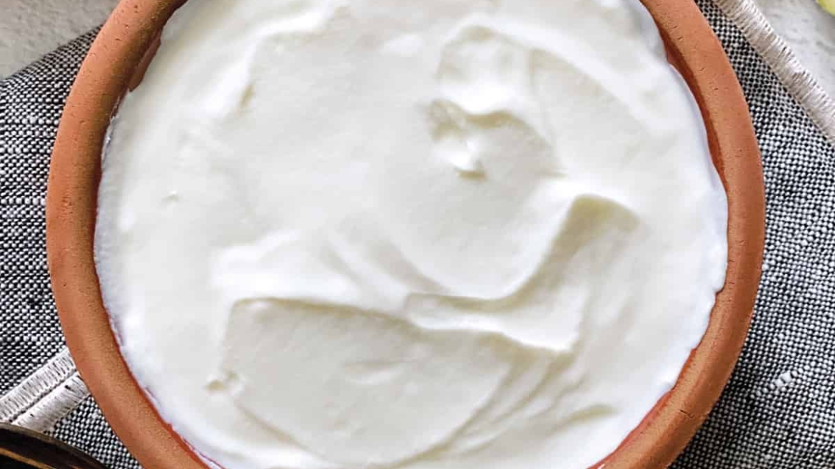 Camel Yougurt