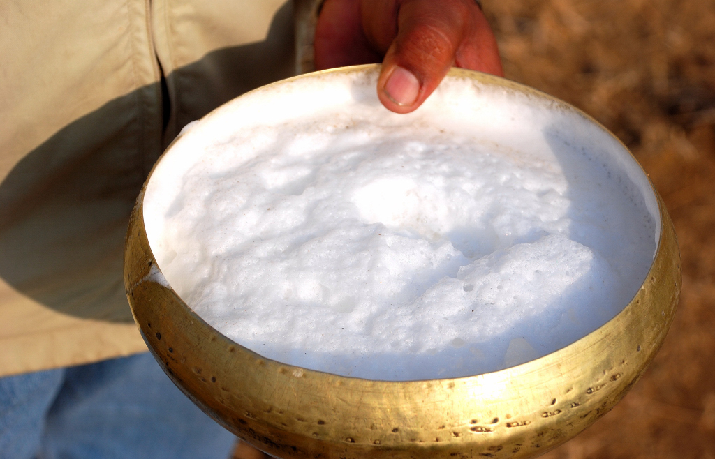 Camel Milk Raw