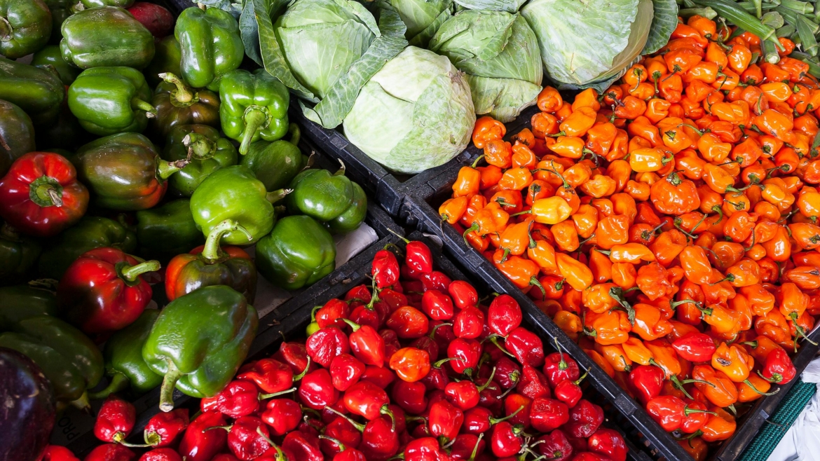 Vegetable & Organic farming